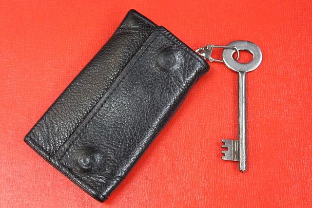 wallet or key case