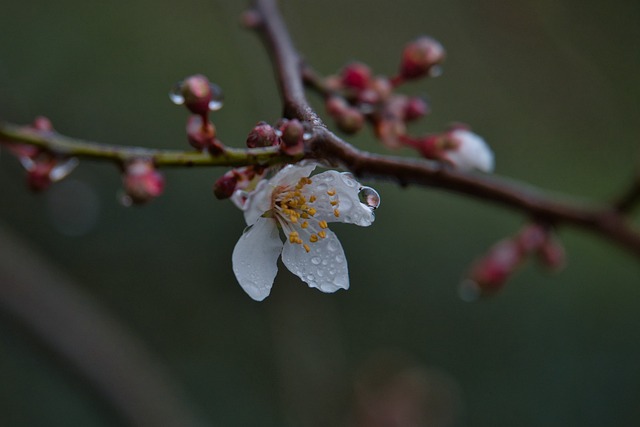 rainy-day